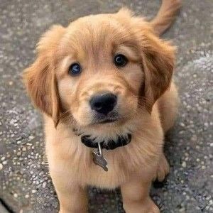 Meet your Posher, Karletta